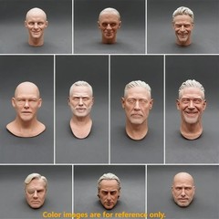 1/6 Scale Resin Diecast Head Sculpture Model American TV Actors Collection He…