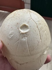 Vtg 80s Ideal MANGLOR Egg Only 1984