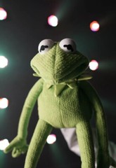 kermit the frog puppet / hand puppet