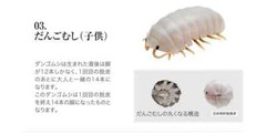 Dangomushi 08 Pill Bug & Three-Banded Armadillo Figure BANDAI Capsule Toy