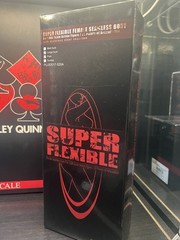 READ Sideshow Collectibles Phicen TBLeague Harley Quinn 1/6 DC Action Figure.