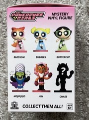 The Powerpuff Girls 1 Mystery Vinyl Collectible Figure NIB Culture Fly Rare