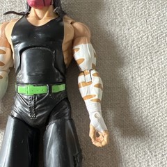 2005 WWE Jakks Pacific Jeff Hardy Deluxe Aggression Action Figure Series 21 WWF