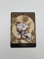 SKULLPANDA Petals in Four Acts Series Figures – The Decay Awaited