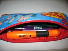 Disney Phineas and Ferb Cartoon Show Kids School Play Crayon PENCIL POUCH CASE