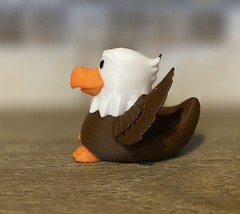 American Eagle Duck
