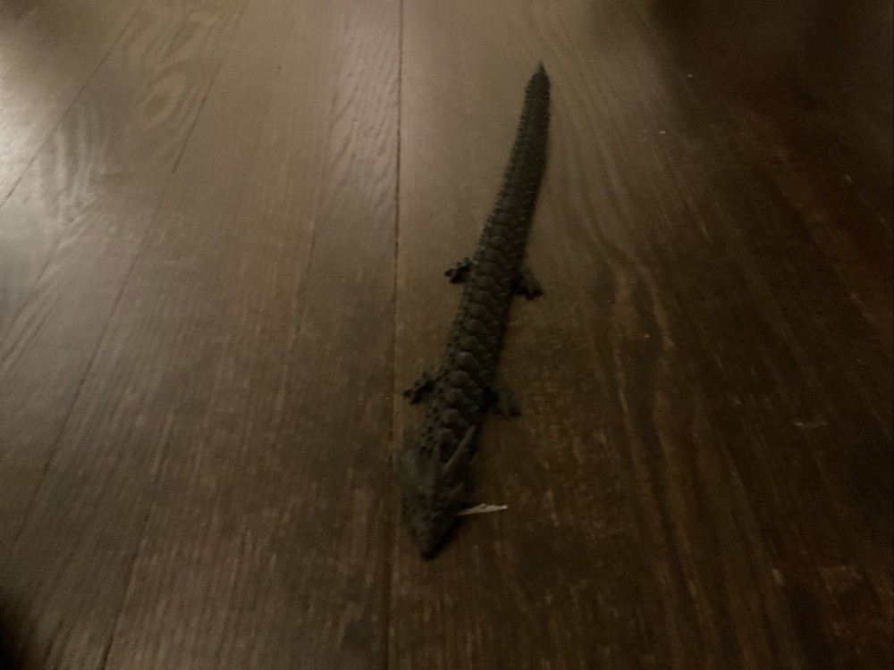 21in 3d Printed Dragon(random Color)
