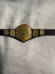 WWE Mattel 2010 US United States Champion Belt Wrestling Figure Accessory WWF