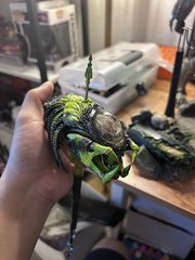 1/6 Scale Custom Trophy Predalien Head