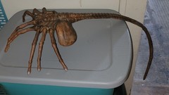 Alien Face Hugger, 1:1 soft vinyl kit, NOS
