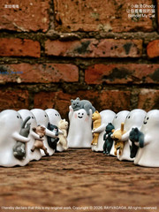 52TOYS Ghody Behold My Cat Series Blind Box Confirmed Figure Doll Gift Ghost HOT
