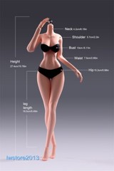 YM503 1/6 Medium Breast Thin Waist Girl 12″ Female Action Figure Body Hands Foot