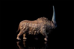 TNG Elasmotherium Sibiricum Model Huge Rhinos Animal Figure Decor Xmas Gift