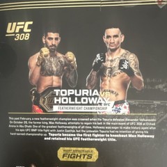 PMI Kids World UFC Action Figure UFC6015 Collectible Mixed Martial Arts Sport