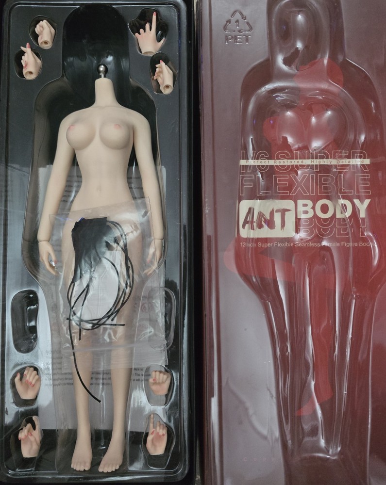 ANT T303B 1/6 Pale Medium Breast Super Flexible 12in Female Action Figure Body