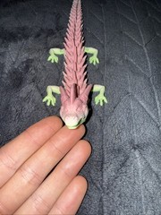 3D Printed Dragon