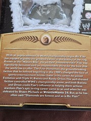 Mattel WWE Defining Moments Nature Boy Ric Flair Figure Butterfly Robe New MIB