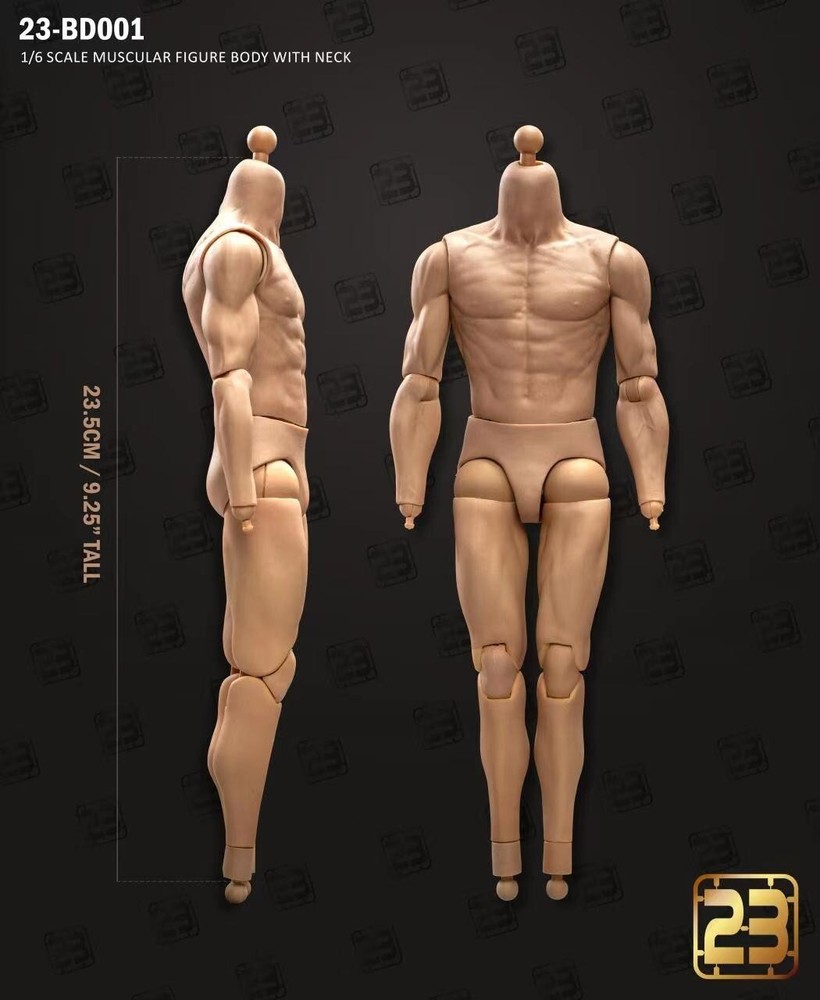 23Toys BD001/2/3/4/5/6 1/6 Male Action Figure Body for 12″ Hot Toy Phicen Head