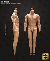 23Toys BD001/2/3/4/5/6 1/6 Male Action Figure Body for 12″ Hot Toy Phicen Head