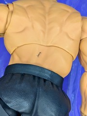 Fei Long I Street Fighter II: The Final Fighters I Storm Collectibles