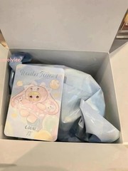 Glow Nommi Weather Forecast Series Plush Pendant Toy Confirmed Figure Hidden