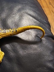 Jurassic World Velociraptor- 6.5 Inches Head To Tail