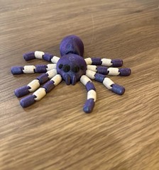 Purple White Spider
