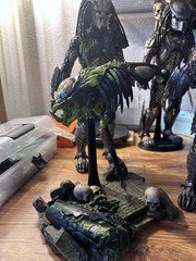 1/6 Scale Custom Trophy Predalien Head
