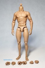 ZC Toys 1/6 Scale 12″ Muscular Male Action Figure Body For Hot Toys Head Sculpt