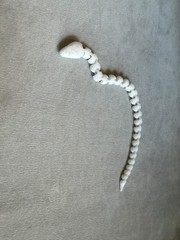 3D Printed Articulated Snake