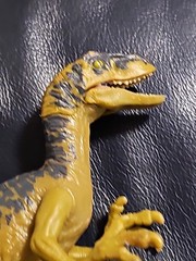 Jurassic World Velociraptor- 6.5 Inches Head To Tail