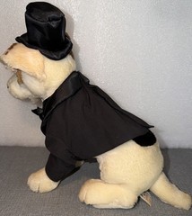 1996 Wishbone Phantom of the Opera 12″ Plush Dog Equity Toys PBS TV Show