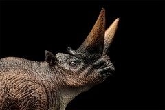 TNG Arsinoitherium Model Decor Animal Figure Adult Kids Children Toys Xmas Gift