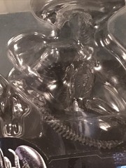 Hiya Toys Alien Vs Predator Xenomorph Warrior Action Figure 1:18 scale