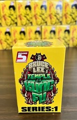 29 BLIND PACK Bruce Lee’s Temple of Kung Fu Series 1 Action Figures NEW UNOPENED