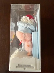 item is the Pop Mart Baby Molly 20th Anniversary Vinyl Plush Blister Pack.