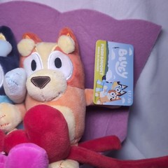 NWT BLUEY & BINGO 13″ Valentine’s Day Plush Bouquet Ruz