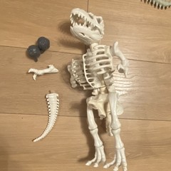 Kenner Bone Age Complete Action System T Rex Triceratops Plesior Codus Dynacus++