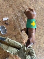 1/6 Scale Female Dragon Model Figure And Dog Medic