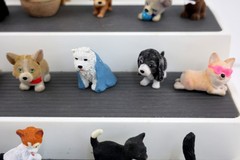 Vtg Lot of 21 MEG Puppy/Kitty/Jungle in My Pocket 90’s PVC Figures