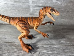 Amber Collection Velociraptor The Lost World Jurassic Park
