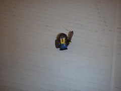Monopoly Despicable Me Minions Replacment Figures Lot of 5
