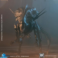 Hiya Toys Exquisite Mini Series 1/18 Scale 5 Inch AVP Alien Queen Action Figure