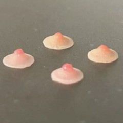1:12 Silicone Nipple Breast Bust Patches For 6in Female TBL Figure Doll No Glue