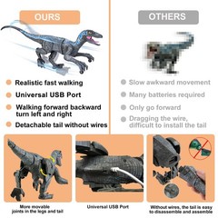 Remote Control Dinosaur Toys for Boys Kids Girls 3 4 5 6 7 8 Electronic RC Ro…