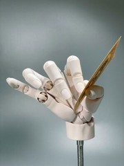 1:1 Hand Model Sculptures Movable Finger Joint Anime Painting Element Art Tool