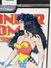 McFarlane DC Multiverse Collector Edition Platinum Wonder Woman #61 Chase New