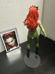 McFarlane DC Multiverse Batman & Robin Poison Ivy 7″ Figure 2023 Complete