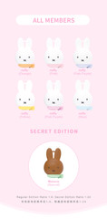 💡 Choco Teddy x Miffy Earphone Case One Random Blind Box
