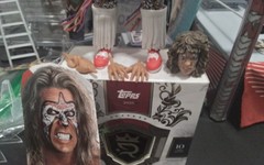 WWE Mattel Series Ultimate Series #1 The Ultimate Warrior Mint & Complete NICE!!